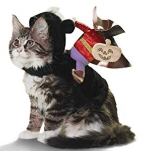 NWT Headless Horseman Cat Halloween Costume S/M